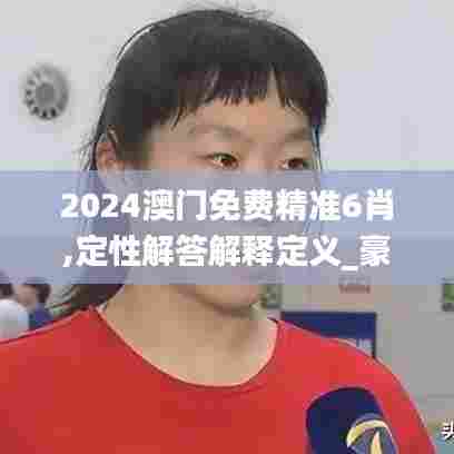 2024澳门免费精准6肖,定性解答解释定义_豪华版2.608