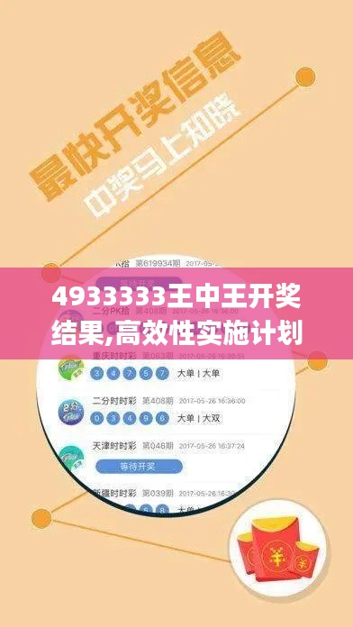4933333王中王开奖结果,高效性实施计划解析_DX版13.939