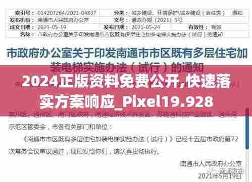 2024正版资料免费公开,快速落实方案响应_Pixel19.928