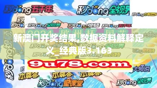 新澳门开奖结果,数据资料解释定义_经典版3.163