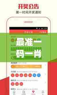 最准一码一肖100%精准,管家婆大小中特,清晰计划执行辅导_户外版16.922