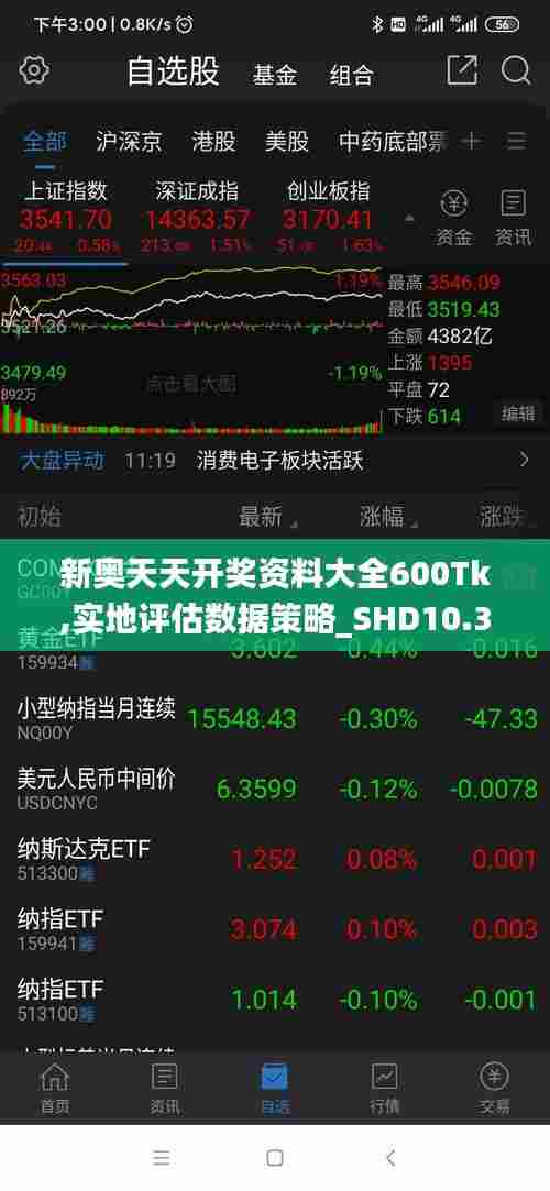新奥天天开奖资料大全600Tk,实地评估数据策略_SHD10.358
