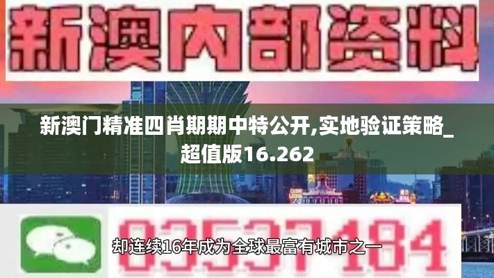 新澳门精准四肖期期中特公开,实地验证策略_超值版16.262