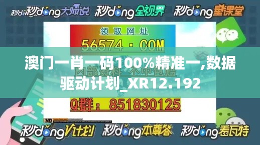 澳门一肖一码100%精准一,数据驱动计划_XR12.192