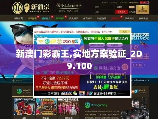 新澳门彩霸王,实地方案验证_2D9.100