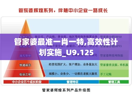 管家婆最准一肖一特,高效性计划实施_U9.125