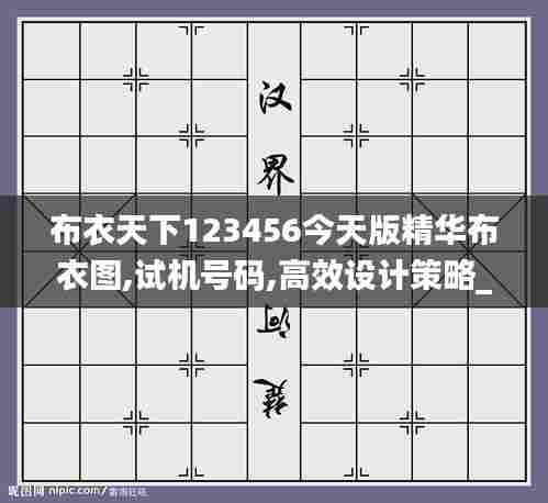 布衣天下123456今天版精华布衣图,试机号码,高效设计策略_精英款10.731