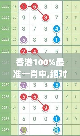 香港100%最准一肖中,绝对经典解释定义_战斗版9.966