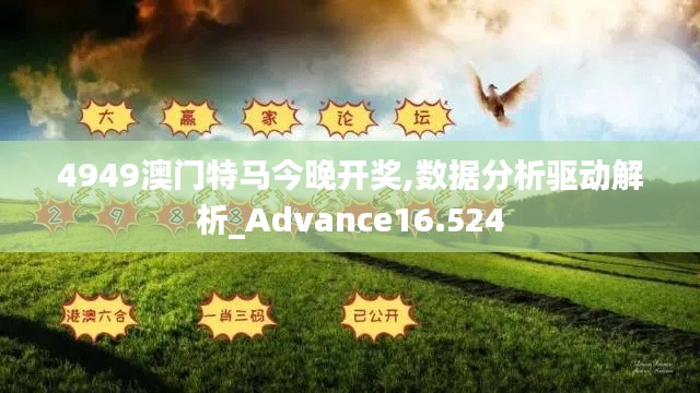 4949澳门特马今晚开奖,数据分析驱动解析_Advance16.524