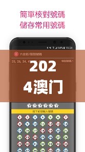 2024澳门天天六开彩免费香港,实地解答解释定义_Chromebook3.878