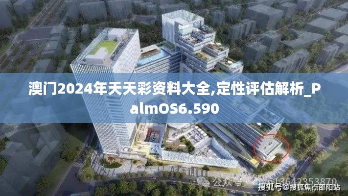 澳门2024年天天彩资料大全,定性评估解析_PalmOS6.590
