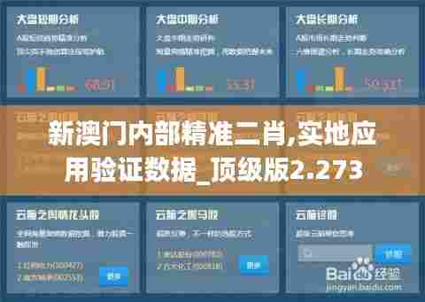 新澳门内部精准二肖,实地应用验证数据_顶级版2.273