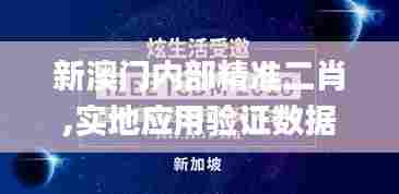 新澳门内部精准二肖,实地应用验证数据_顶级版2.273
