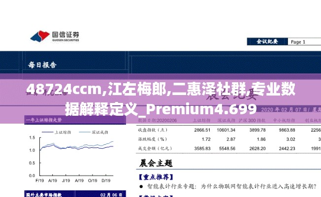 48724ccm,江左梅郎,二惠泽社群,专业数据解释定义_Premium4.699