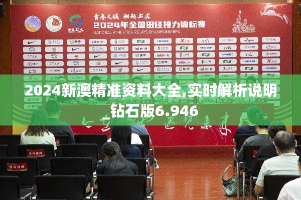 2024新澳精准资料大全,实时解析说明_钻石版6.946