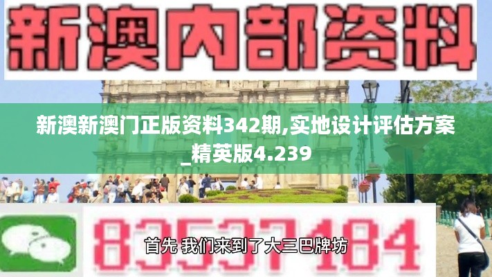 新澳新澳门正版资料342期,实地设计评估方案_精英版4.239