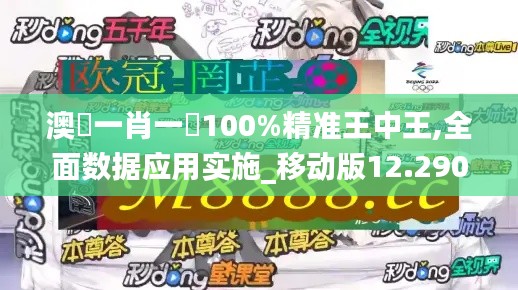 澳門一肖一碼100%精准王中王,全面数据应用实施_移动版12.290