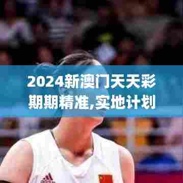 2024新澳门天天彩期期精准,实地计划验证策略_交互版16.237