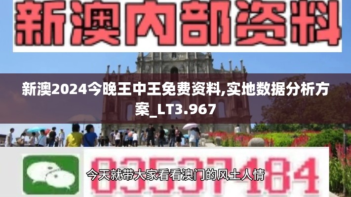 新澳2024今晚王中王免费资料,实地数据分析方案_LT3.967