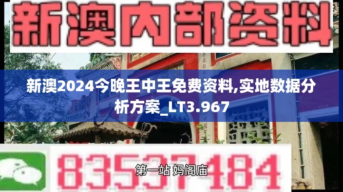新澳2024今晚王中王免费资料,实地数据分析方案_LT3.967
