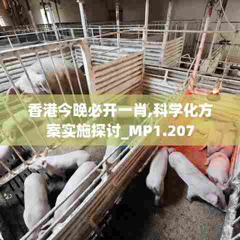 香港今晚必开一肖,科学化方案实施探讨_MP1.207