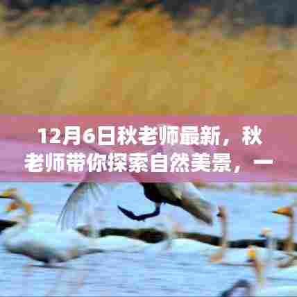 秋老师带你探索自然美景，一场心灵之旅的启程