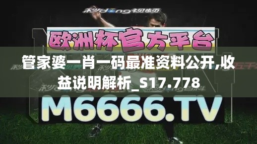 管家婆一肖一码最准资料公开,收益说明解析_S17.778
