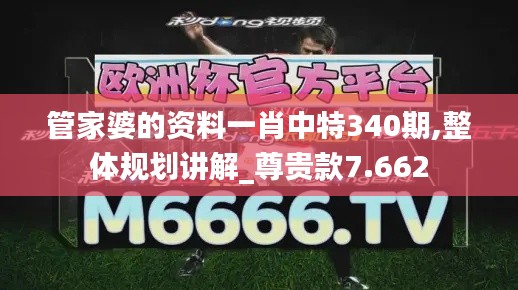 管家婆的资料一肖中特340期,整体规划讲解_尊贵款7.662