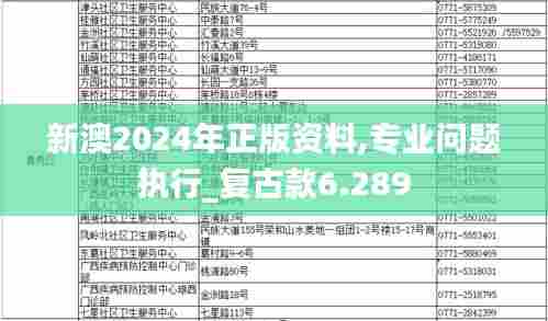 新澳2024年正版资料,专业问题执行_复古款6.289