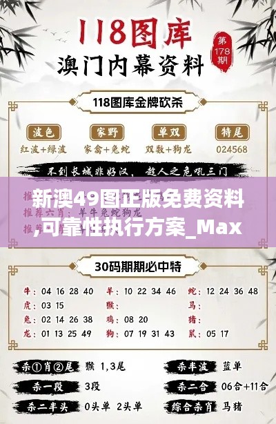 新澳49图正版免费资料,可靠性执行方案_Max6.430