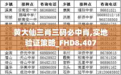 黄大仙三肖三码必中肖,实地验证策略_FHD8.407
