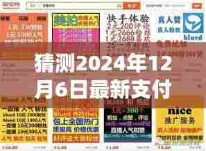 揭秘未来支付新纪元,2024年全新支付平台智慧瞬付引领科技生活新潮流风潮