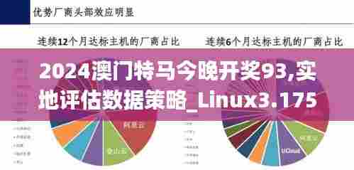 2024澳门特马今晚开奖93,实地评估数据策略_Linux3.175