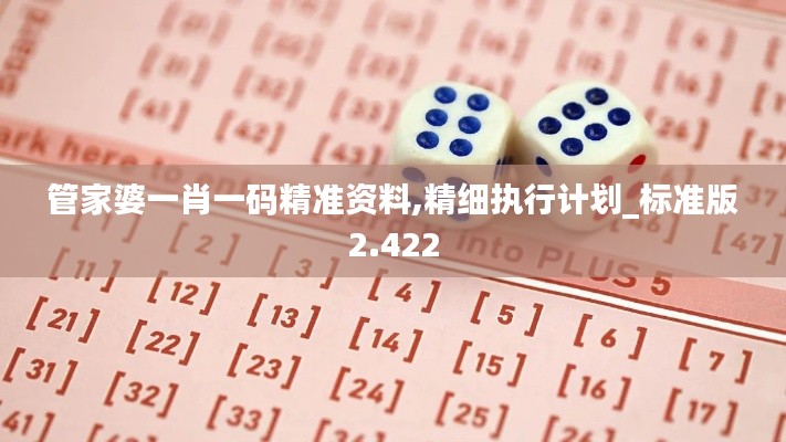 管家婆一肖一码精准资料,精细执行计划_标准版2.422
