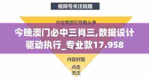 今晚澳门必中三肖三,数据设计驱动执行_专业款17.958