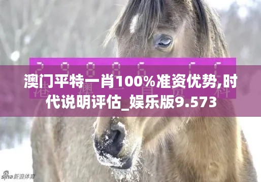 澳门平特一肖100%准资优势,时代说明评估_娱乐版9.573