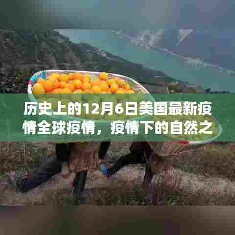 美国疫情下的自然之旅,探寻美景与内心力量,全球疫情最新动态回顾(历史篇)