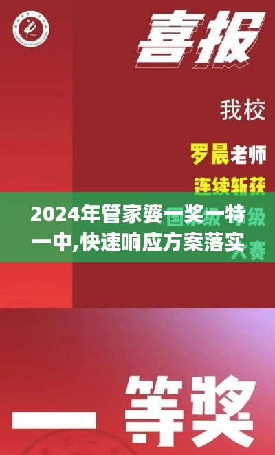 2024年管家婆一奖一特一中,快速响应方案落实_BT19.187