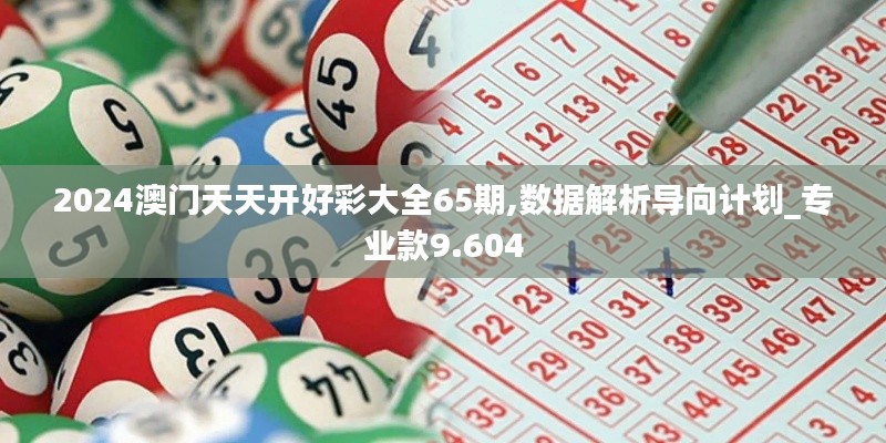 2024澳门天天开好彩大全65期,数据解析导向计划_专业款9.604
