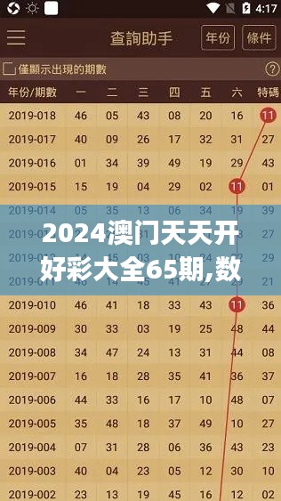 2024澳门天天开好彩大全65期,数据解析导向计划_专业款9.604