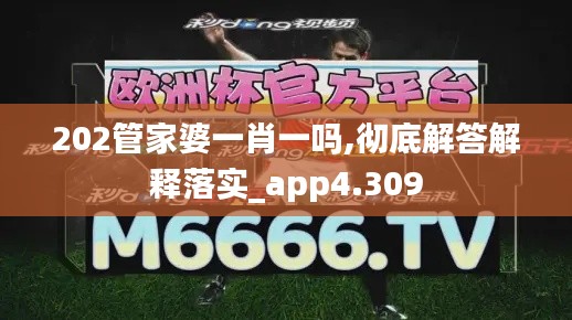 202管家婆一肖一吗,彻底解答解释落实_app4.309