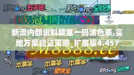 新澳内部资料精准一码波色表,实地方案验证策略_扩展版4.457
