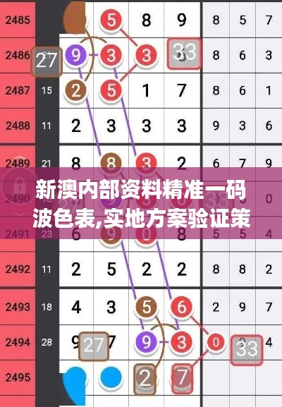 新澳内部资料精准一码波色表,实地方案验证策略_扩展版4.457