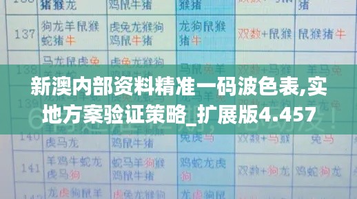 新澳内部资料精准一码波色表,实地方案验证策略_扩展版4.457