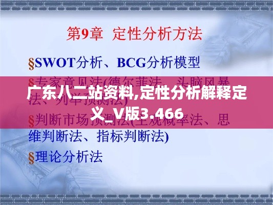 广东八二站资料,定性分析解释定义_V版3.466