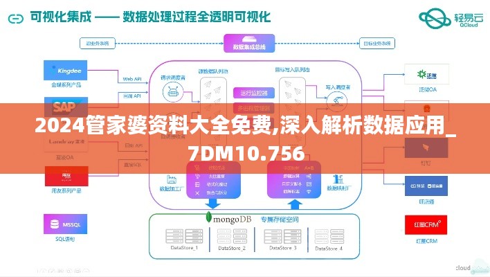 2024管家婆资料大全免费,深入解析数据应用_7DM10.756