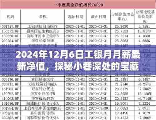 工银月月薪最新净值与探秘繁华中的特色小巷宝藏店