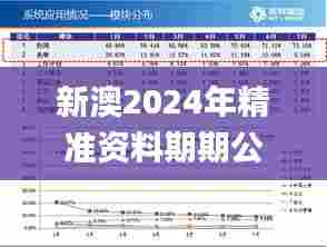 新澳2024年精准资料期期公开不变,数据驱动实施方案_Superior6.373