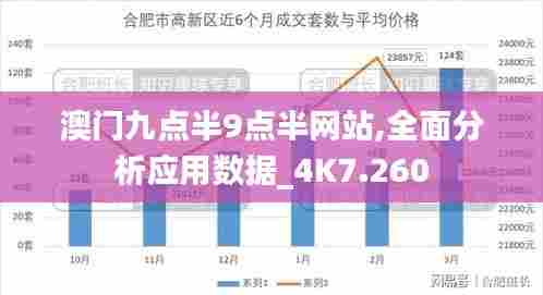 澳门九点半9点半网站,全面分析应用数据_4K7.260