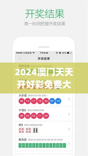 2024澳门天天开好彩免费大全,实地验证数据应用_PalmOS5.490